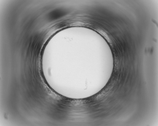 X0000093491000200710261114