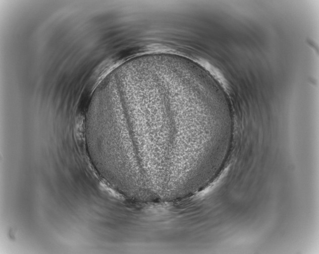 X0000093491001200710261114