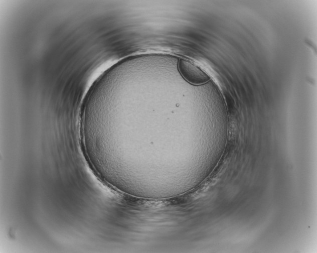 X0000093491003200710261114