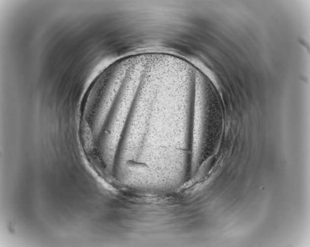 X0000093491005200710261113