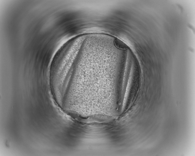 X0000093491008200710261113