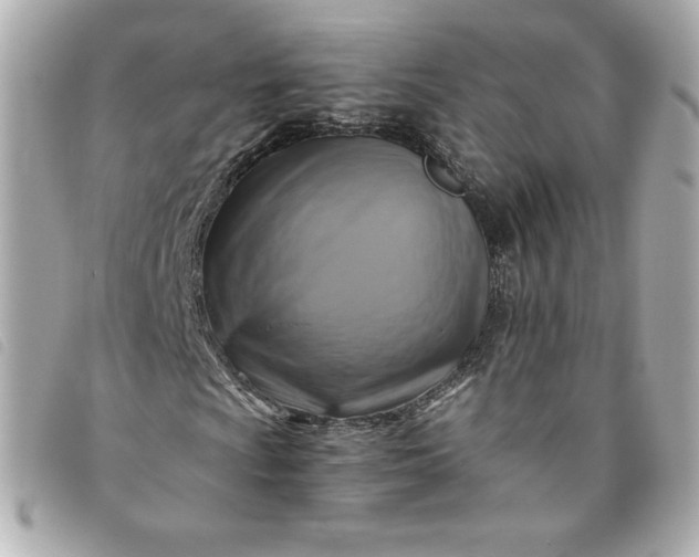 X0000093491009200710261113