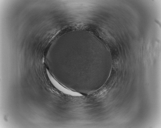 X0000093491010200710261113