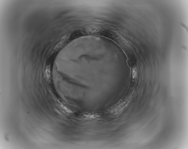 X0000093491011200710261113