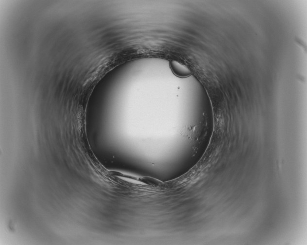 X0000093491012200710261113