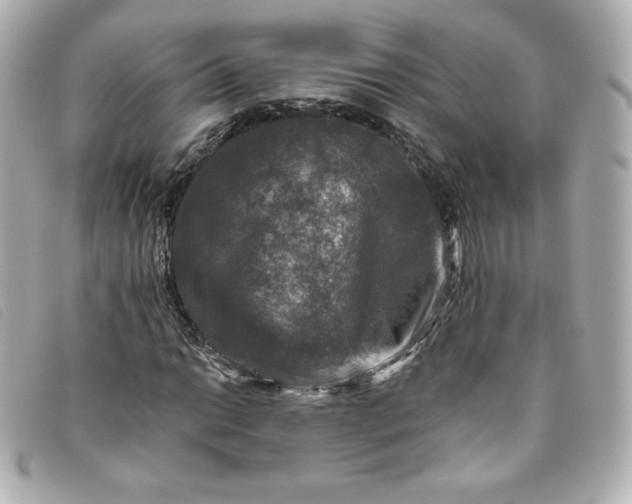 X0000093491014200710261113