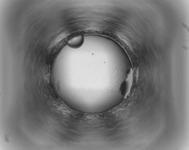 X0000093491015200710261113