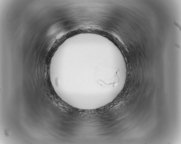 X0000093491016200710261113