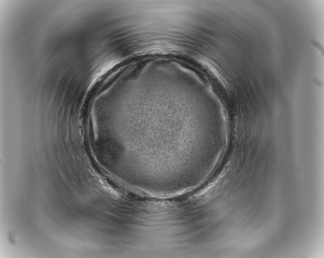 X0000093491018200710261113