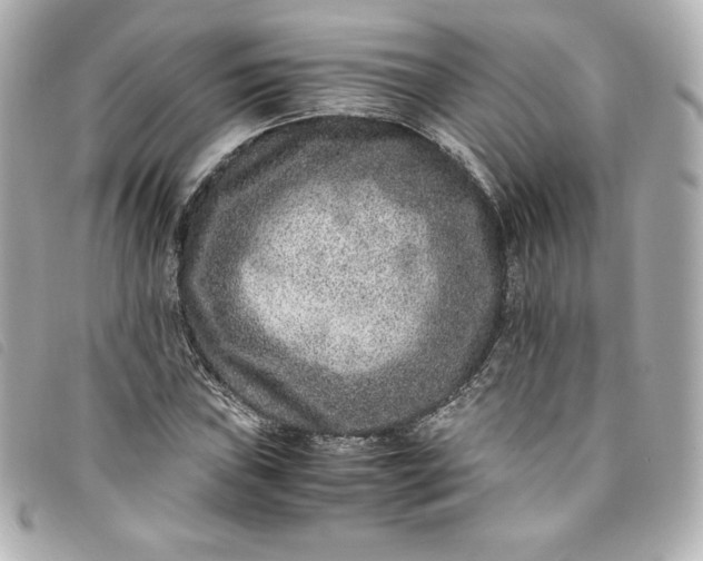 X0000093491019200710261113