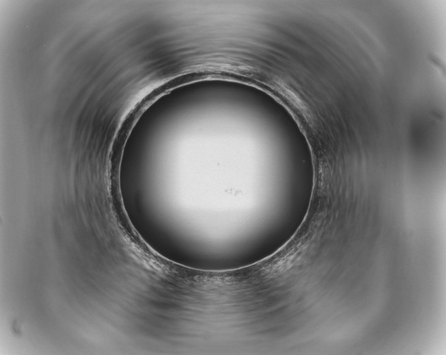 X0000093491020200710261113