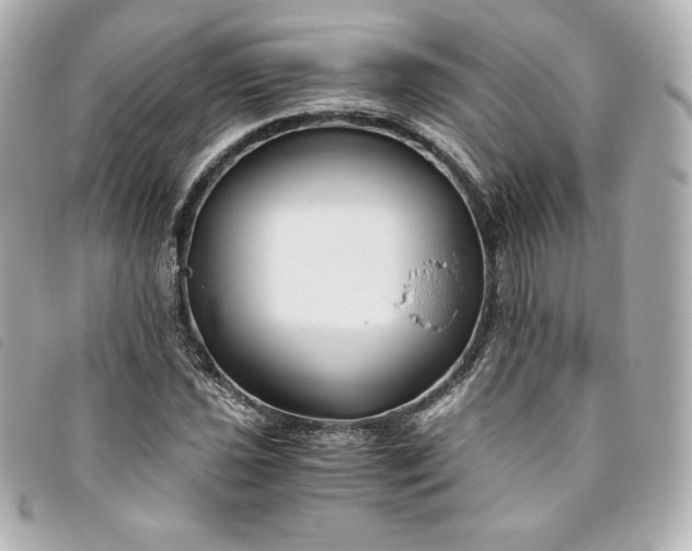 X0000093491021200710261113