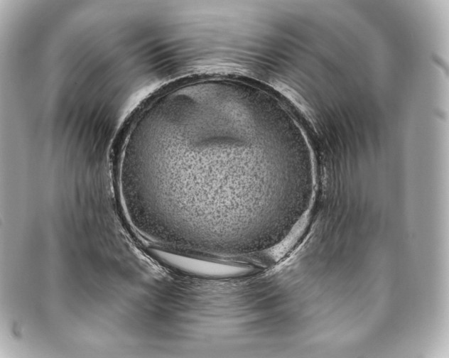 X0000093491022200710261113