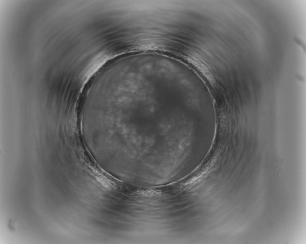 X0000093491023200710261113