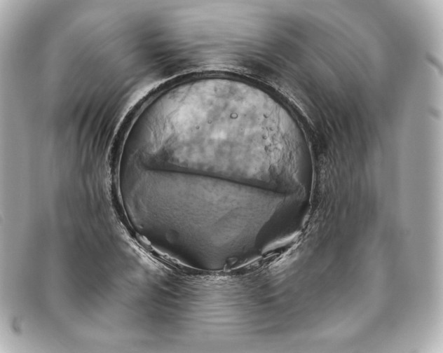 X0000093491024200710261113