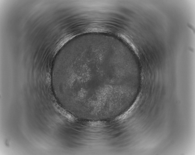 X0000093491025200710261113