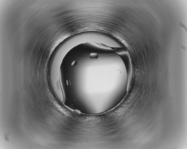 X0000093491026200710261113