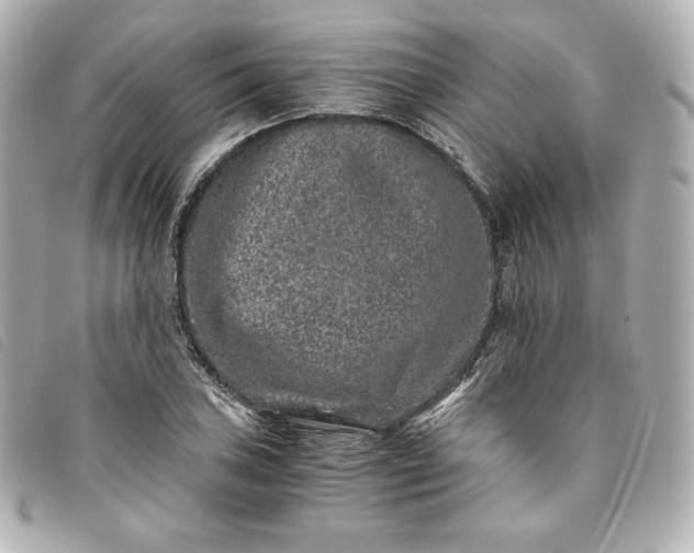 X0000093491027200710261113