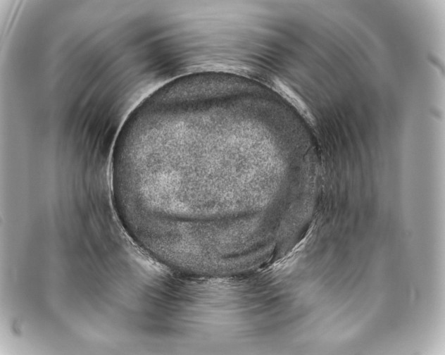 X0000093491028200710261113