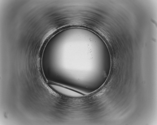 X0000093491029200710261113