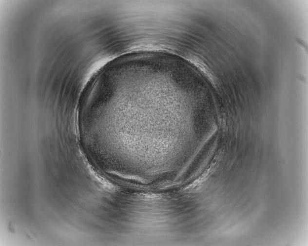 X0000093491030200710261113