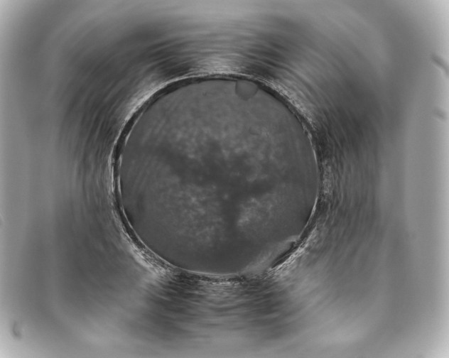 X0000093491031200710261113