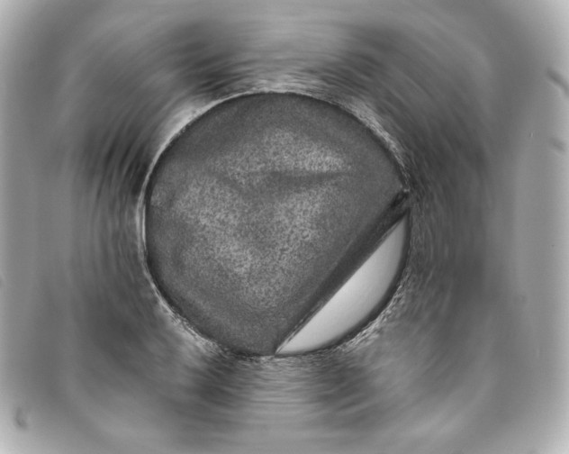 X0000093491032200710261113