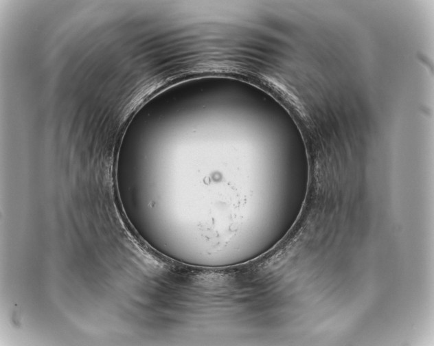 X0000093491033200710261113