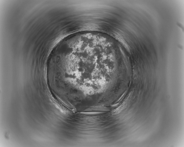 X0000093491035200710261113