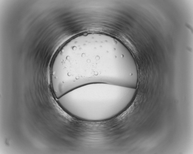 X0000093491036200710261113