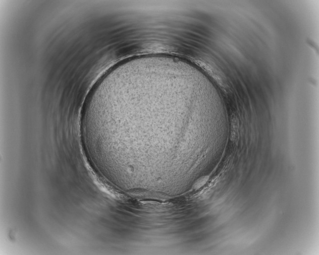 X0000093491039200710261113