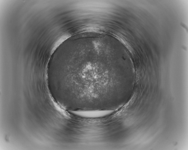 X0000093491042200710261113