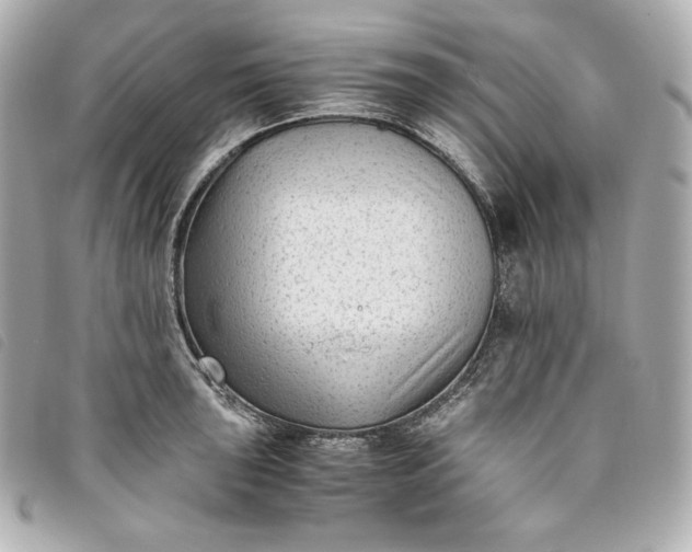 X0000093491043200710261113