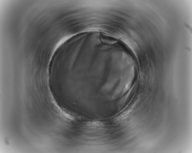 X0000093491045200710261113