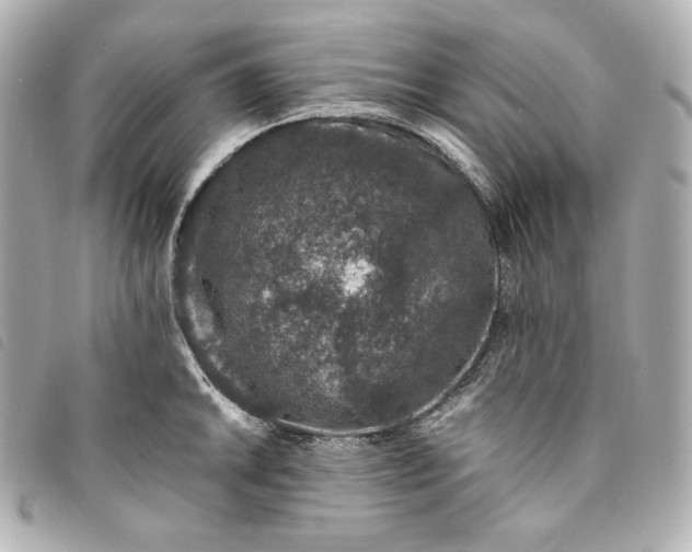 X0000093491046200710261113