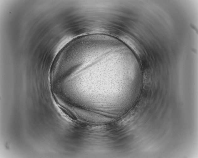 X0000093491047200710261113