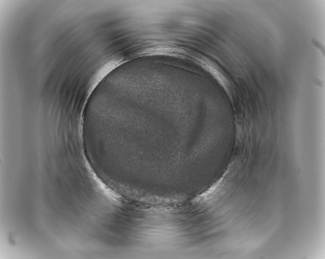 X0000093491050200710261113