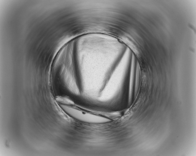 X0000093491052200710261113