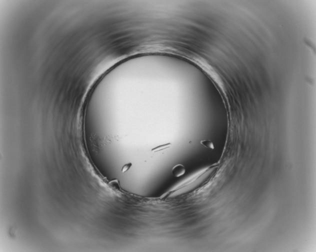 X0000093491053200710261113