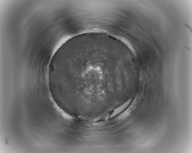 X0000093491054200710261113