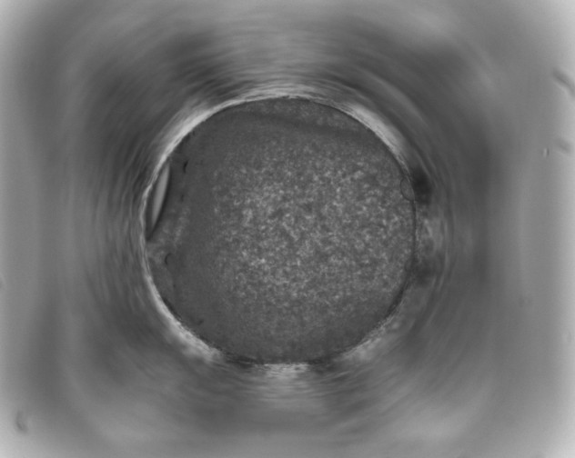 X0000093491055200710261113