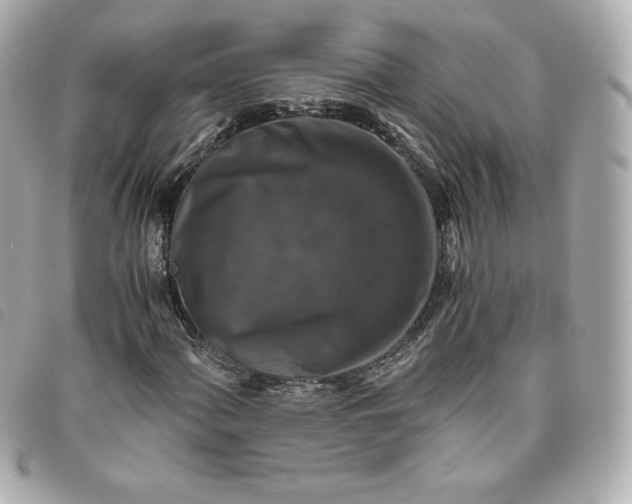 X0000093491060200710261113