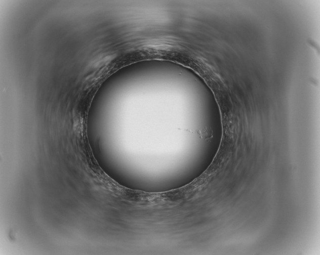 X0000093491061200710261113