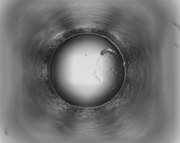 X0000093491062200710261113