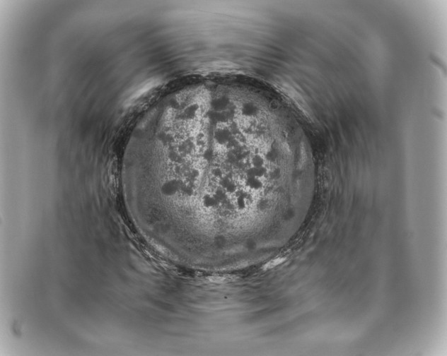 X0000093491063200710261113