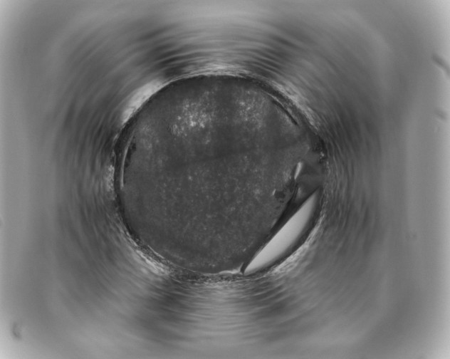 X0000093491066200710261113