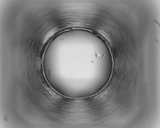 X0000093491067200710261113