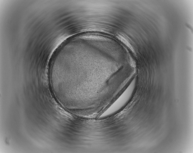 X0000093491068200710261113