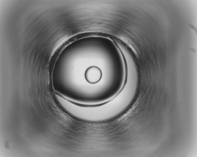 X0000093491069200710261113