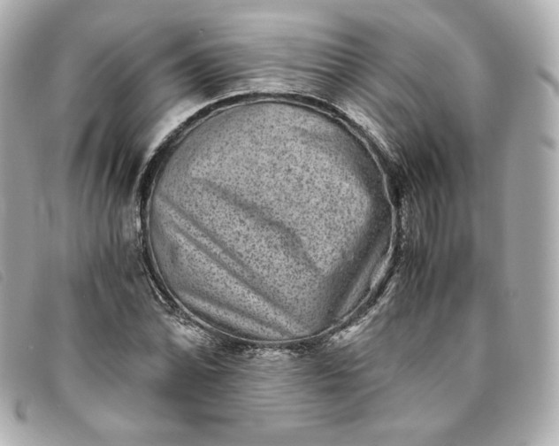 X0000093491070200710261113